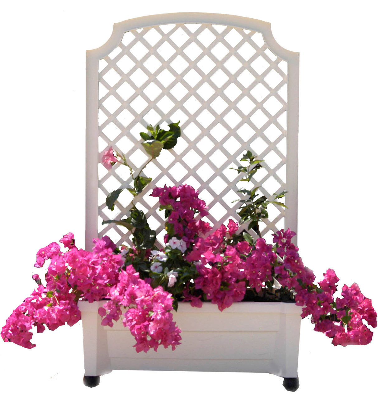 Calypso™ Planter with Trellis and Water Reservoir