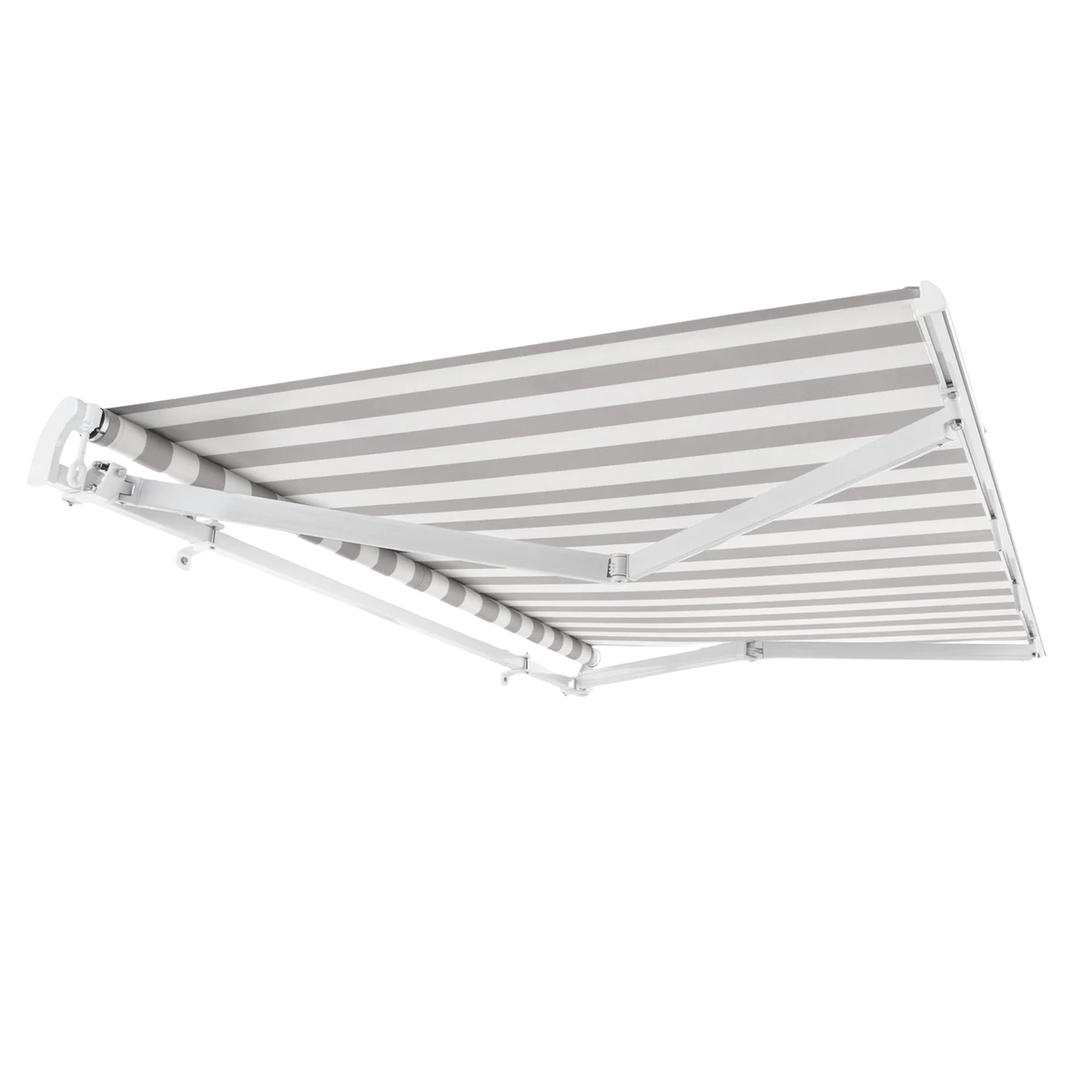 Light Gray/White
