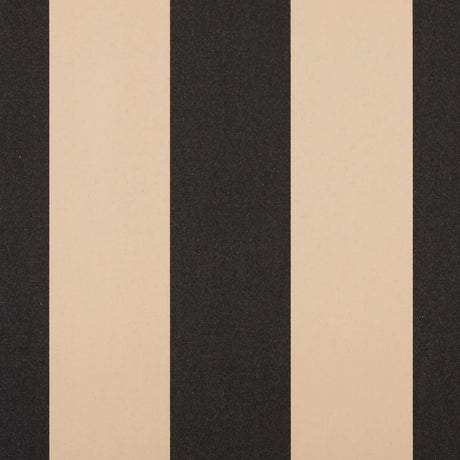Black/Tan