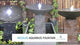 Aquarius Decorative Galleria Fountain